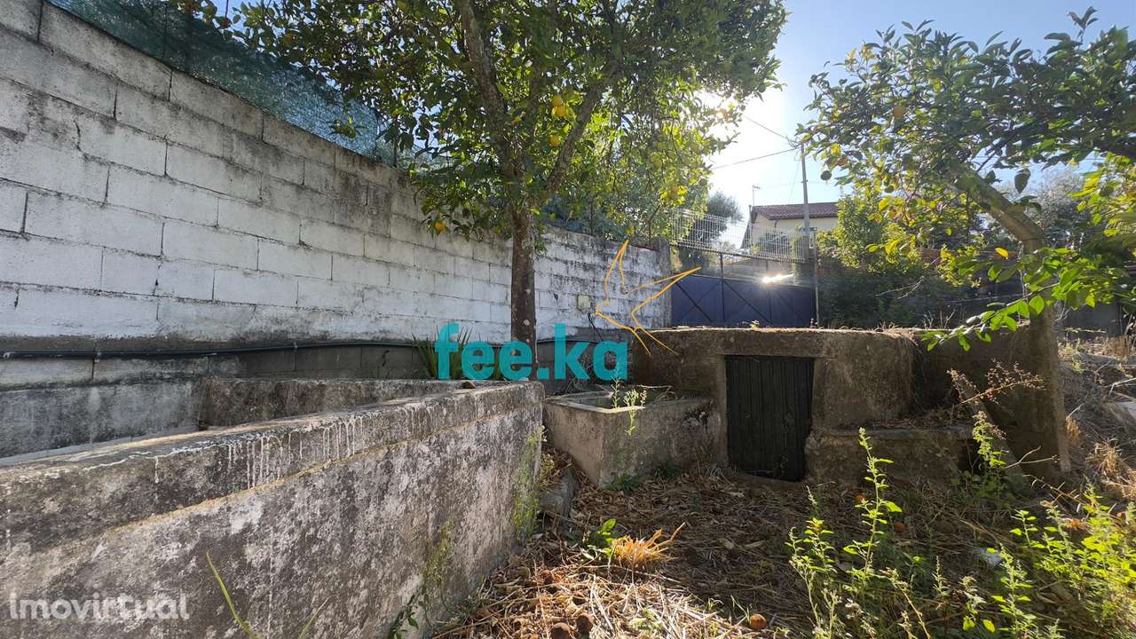 Quintinha T1 em Palvarinho - Grande imagem: 2/24