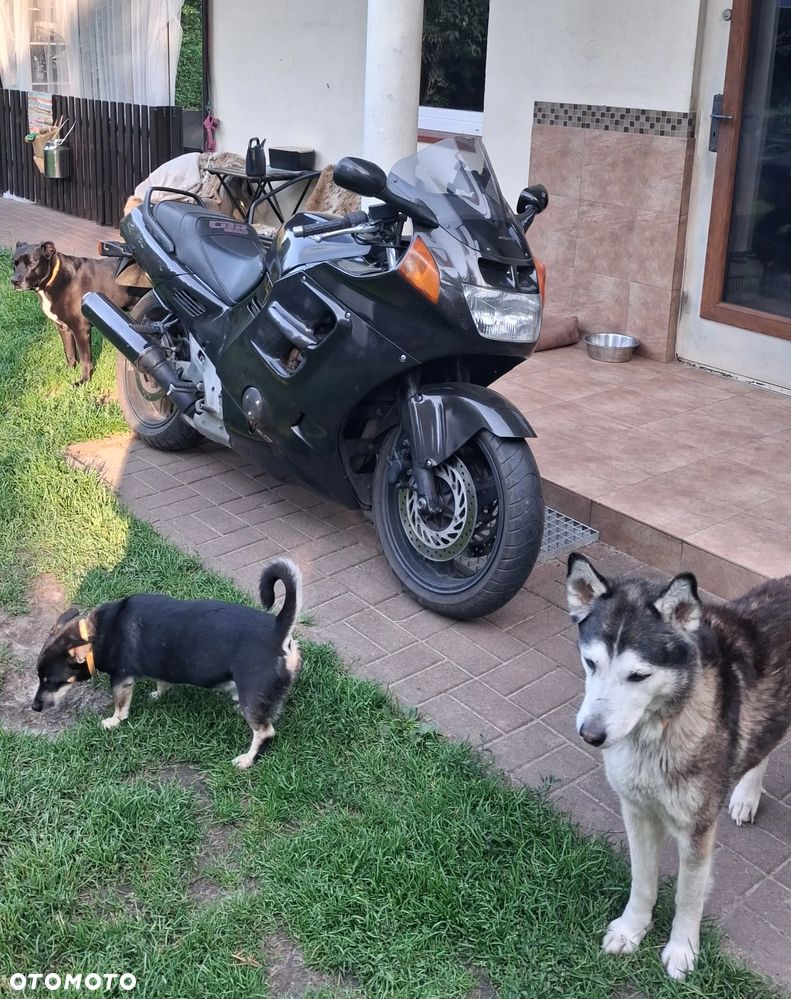 Honda CBR - 5