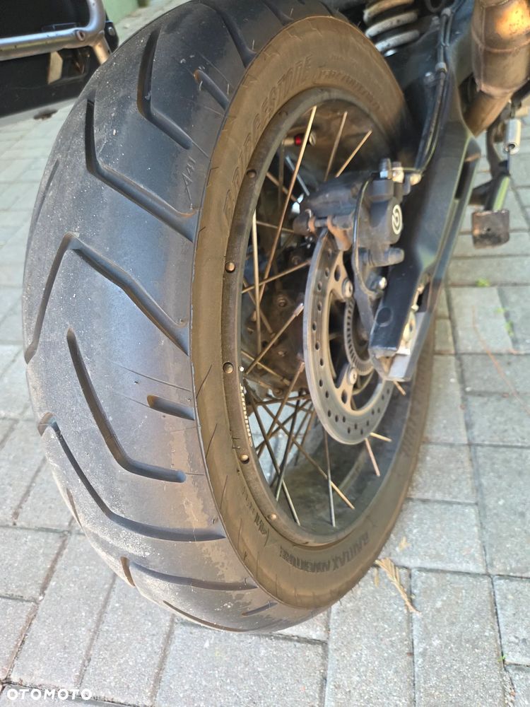 Triumph Tiger - 15