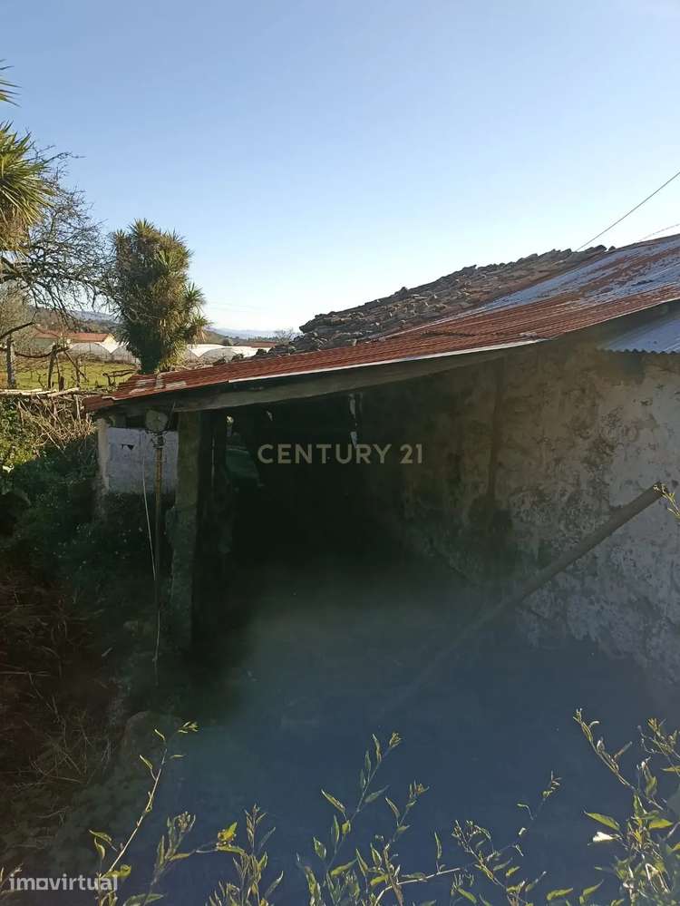 Quintinha Única com 9.000 m² de Terreno Construtivo – Serzedelo, Póvoa - Grande imagem: 5/12