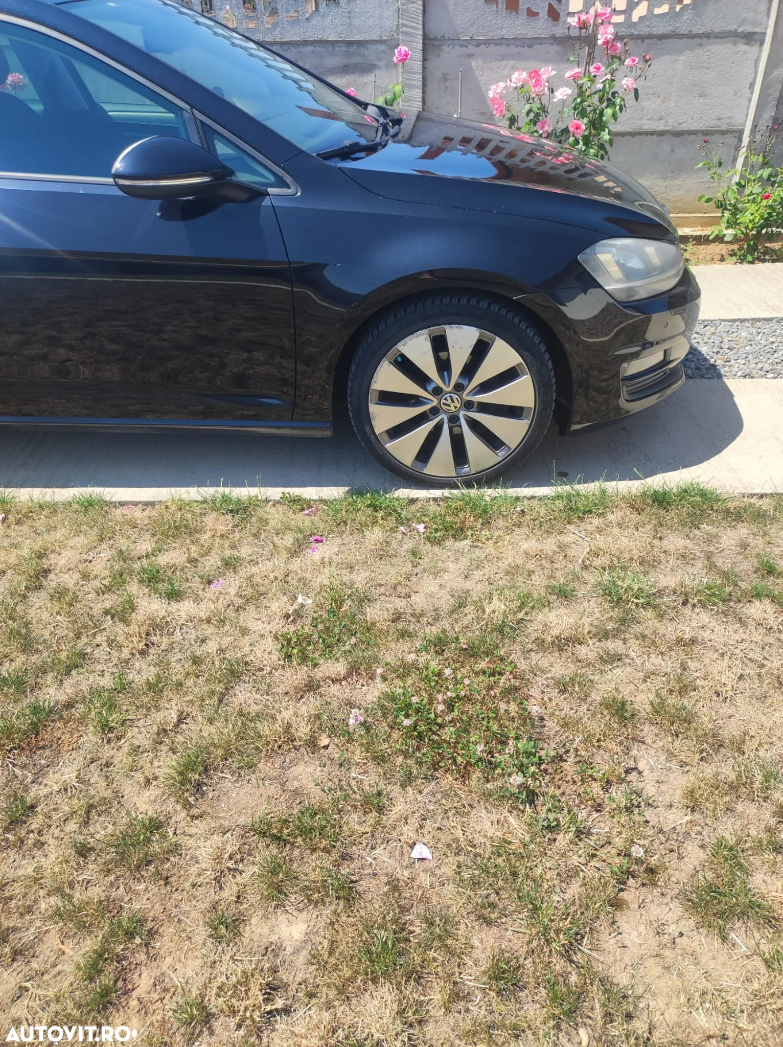 Volkswagen Golf - 8
