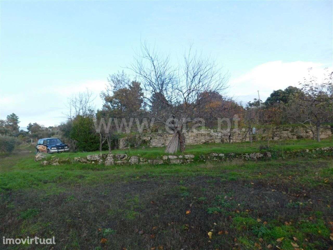 Quinta T1 / Fundão, Orca - Grande imagem: 2/11