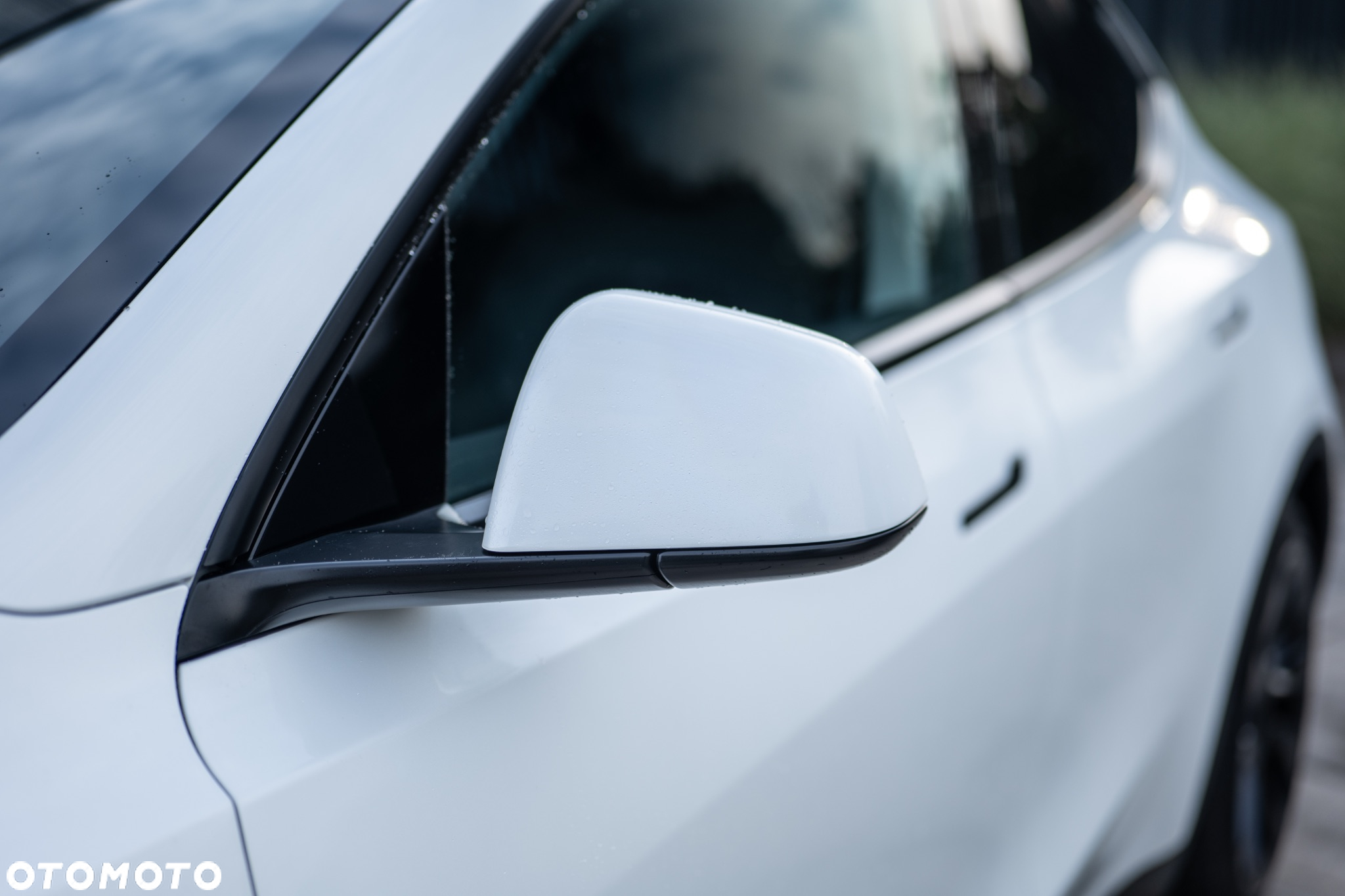 Tesla Y Long Range AWD - 5