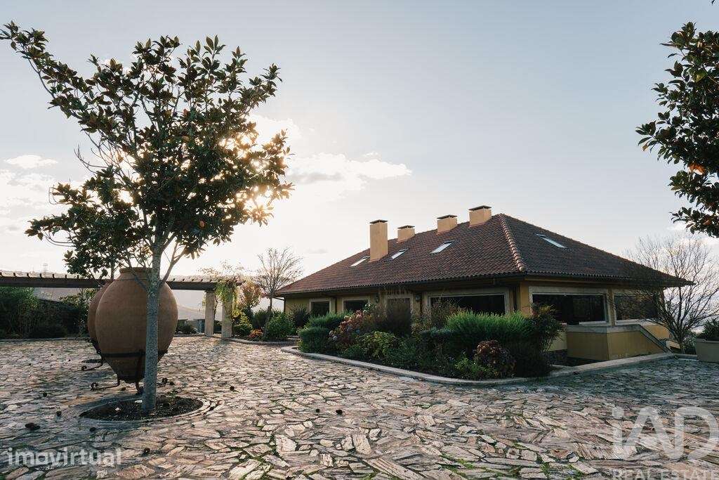 Quinta T6 em Folgosa de 2594 m2 - Grande imagem: 4/40