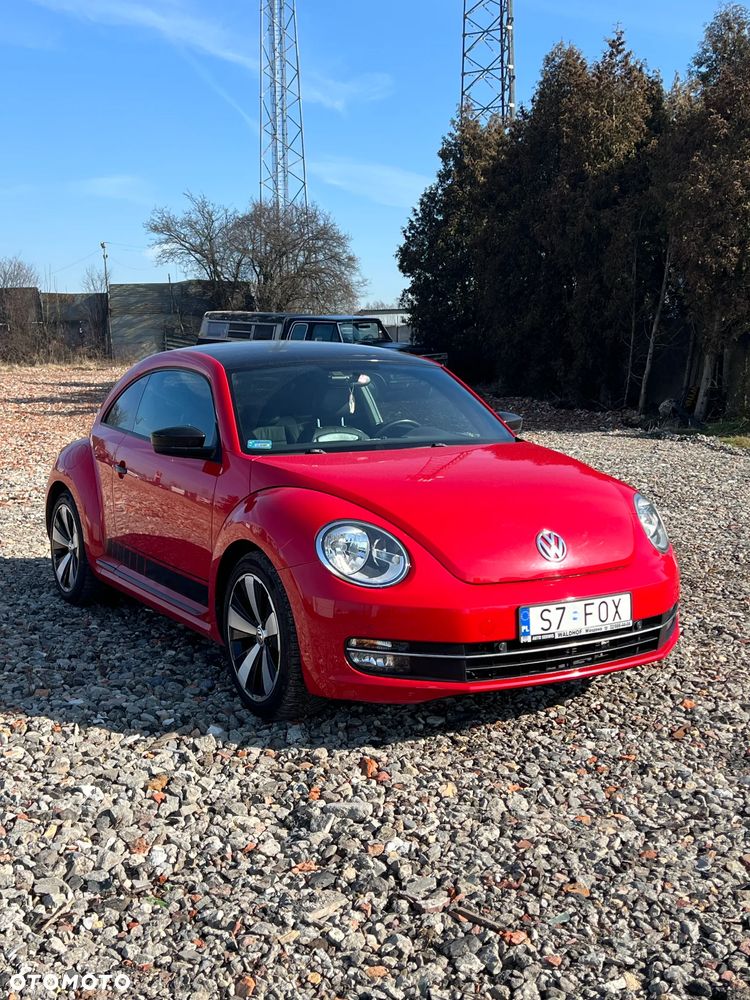 Volkswagen Beetle - 3