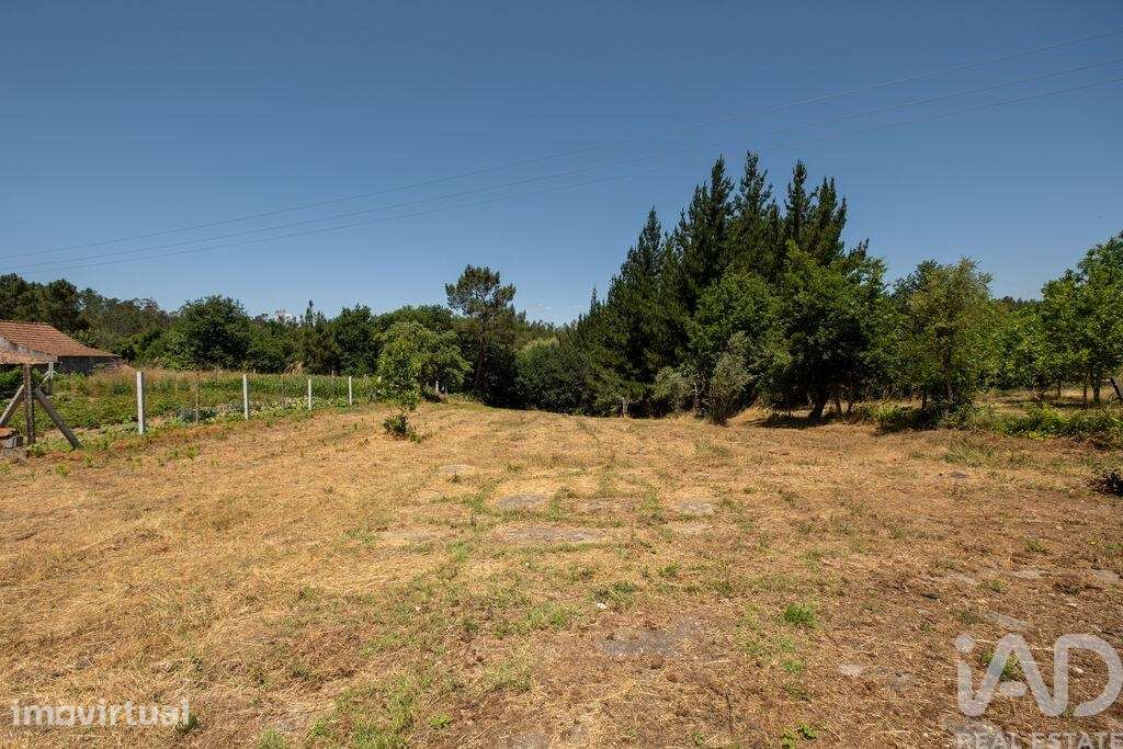 Terreno para construção em Mouronho - Grande imagem: 3/15