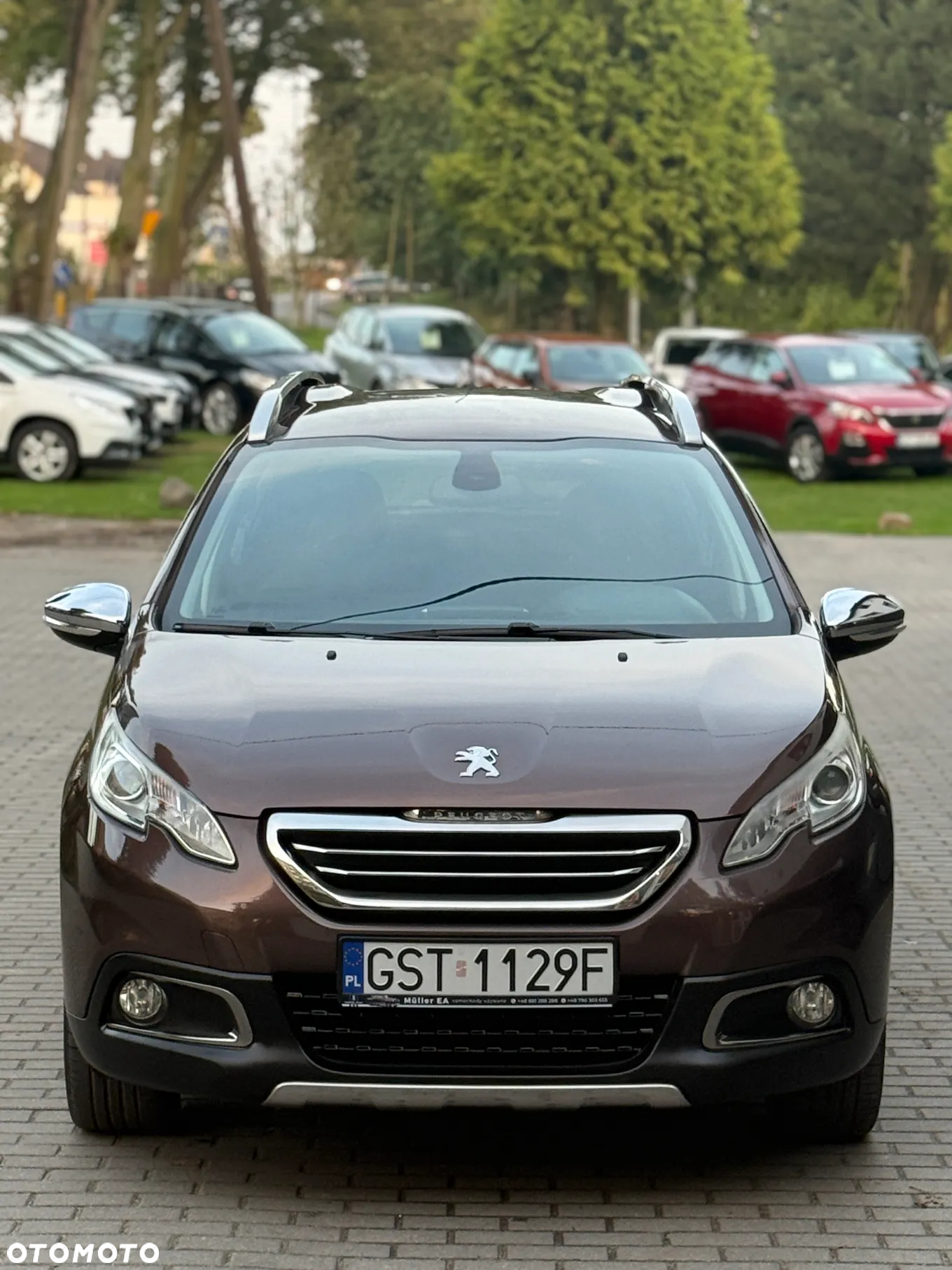 Peugeot 2008 - 3