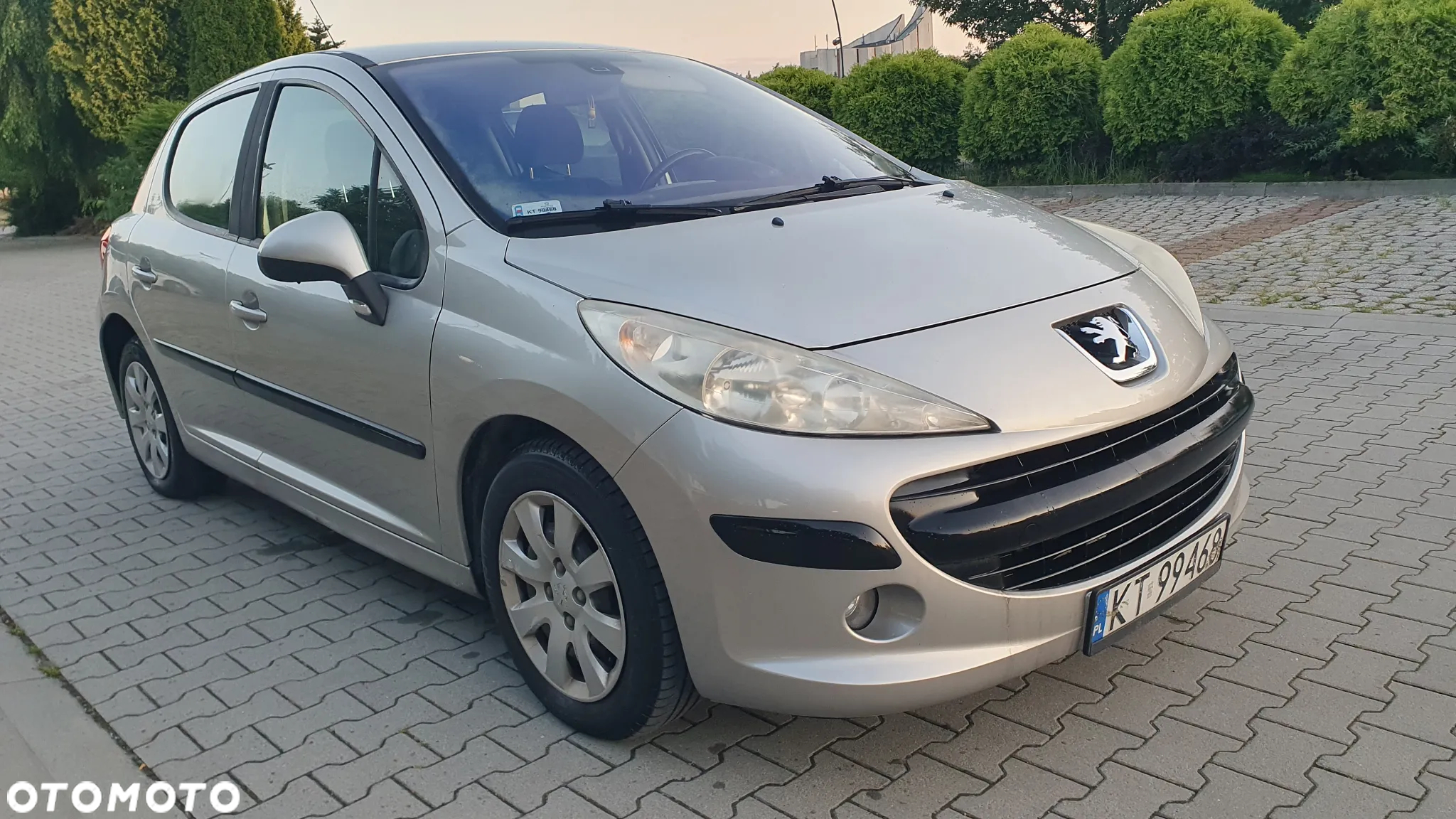 Peugeot 207 - 10