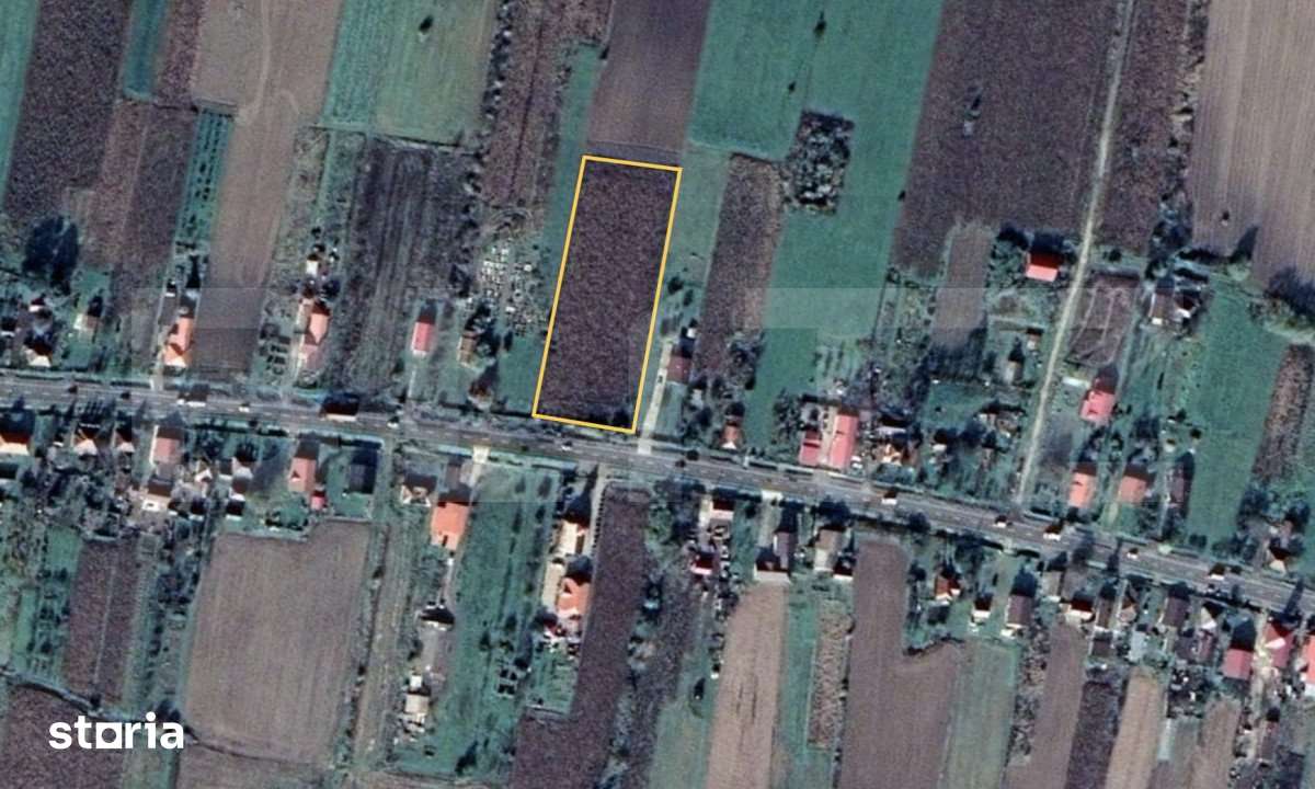 Teren intravilan de vanzare ,5800mp, zona Ciuperceni - Imagine principală: 2/2