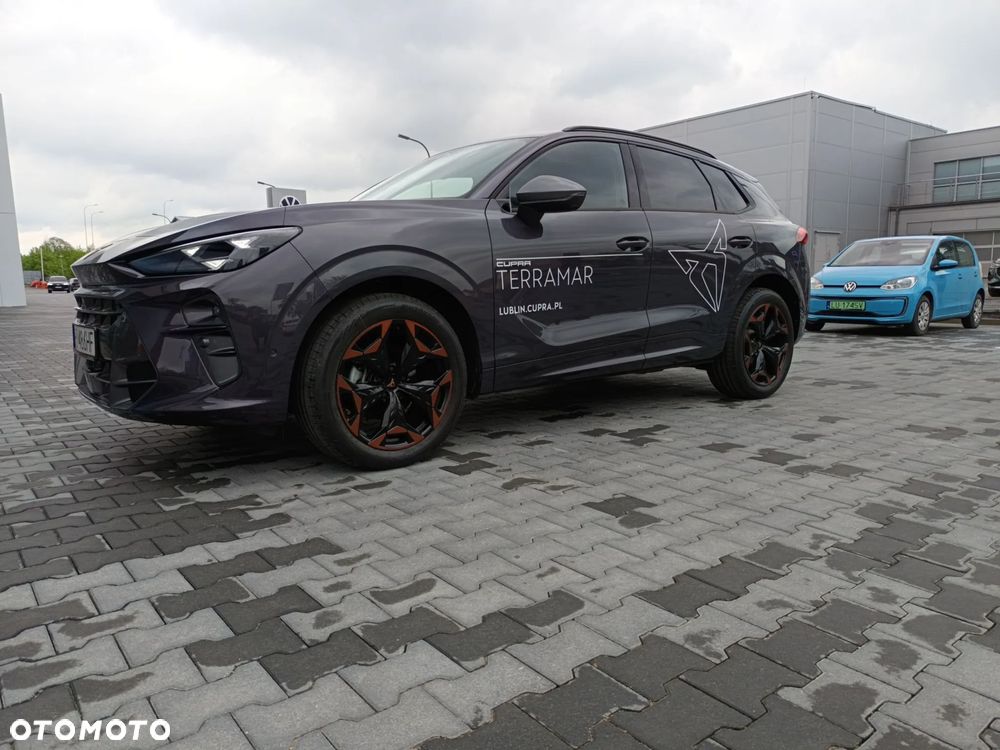 Cupra Terramar 1.5 eTSI mHEV DSG - 21