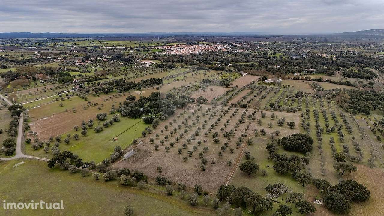 Terreno  para venda - Grande imagem: 5/7