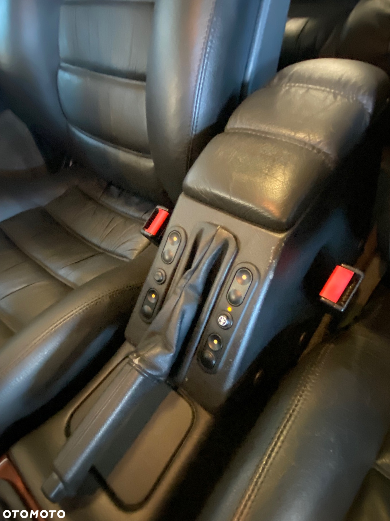 Lotus Inny - 17