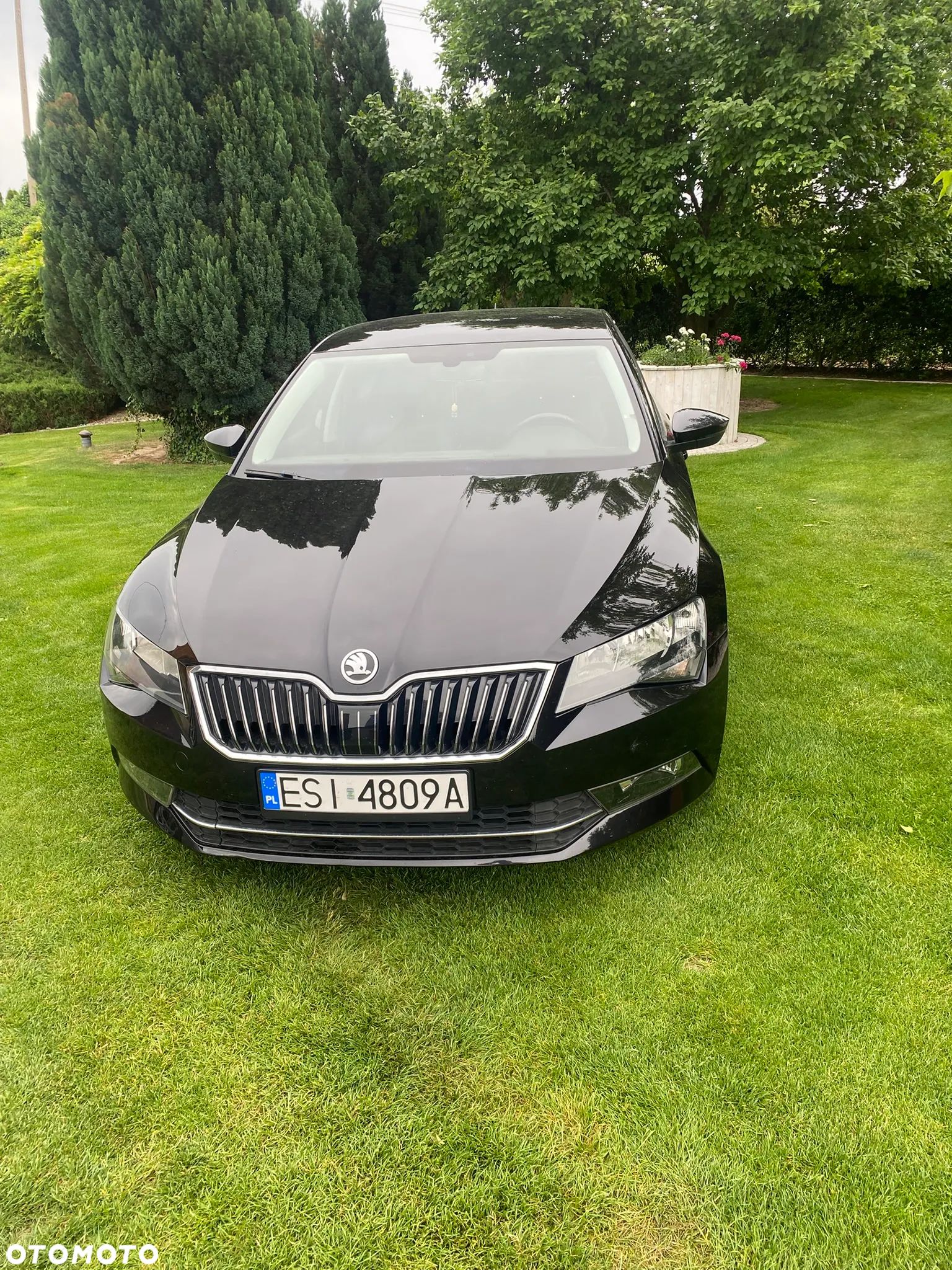 Skoda Superb - 1