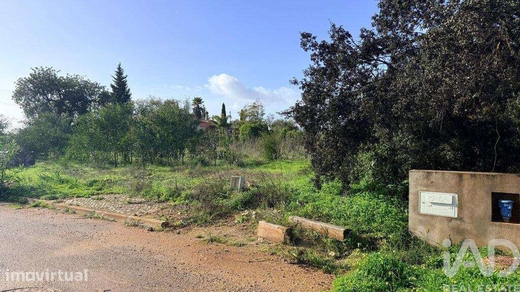 Terreno para construção em Alcantarilha e Pêra - Grande imagem: 4/21