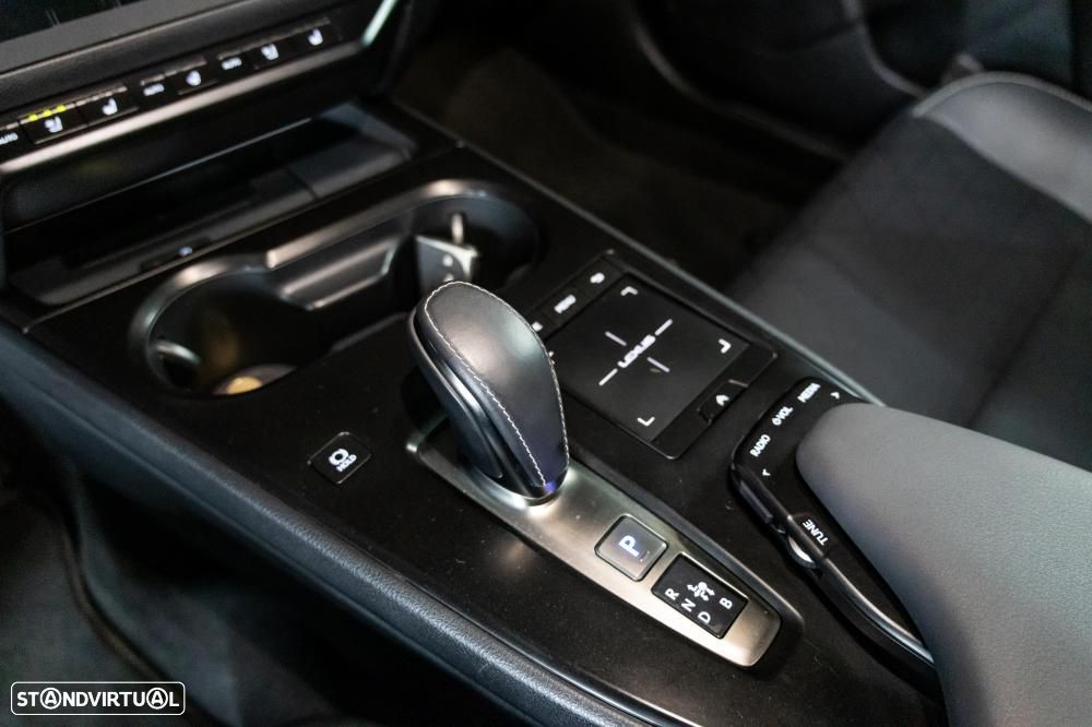 Lexus UX 300e Luxury - 35