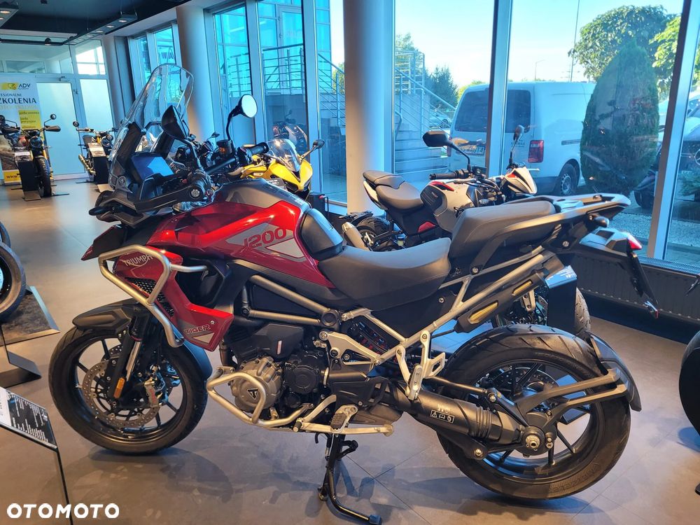 Triumph Tiger - 4