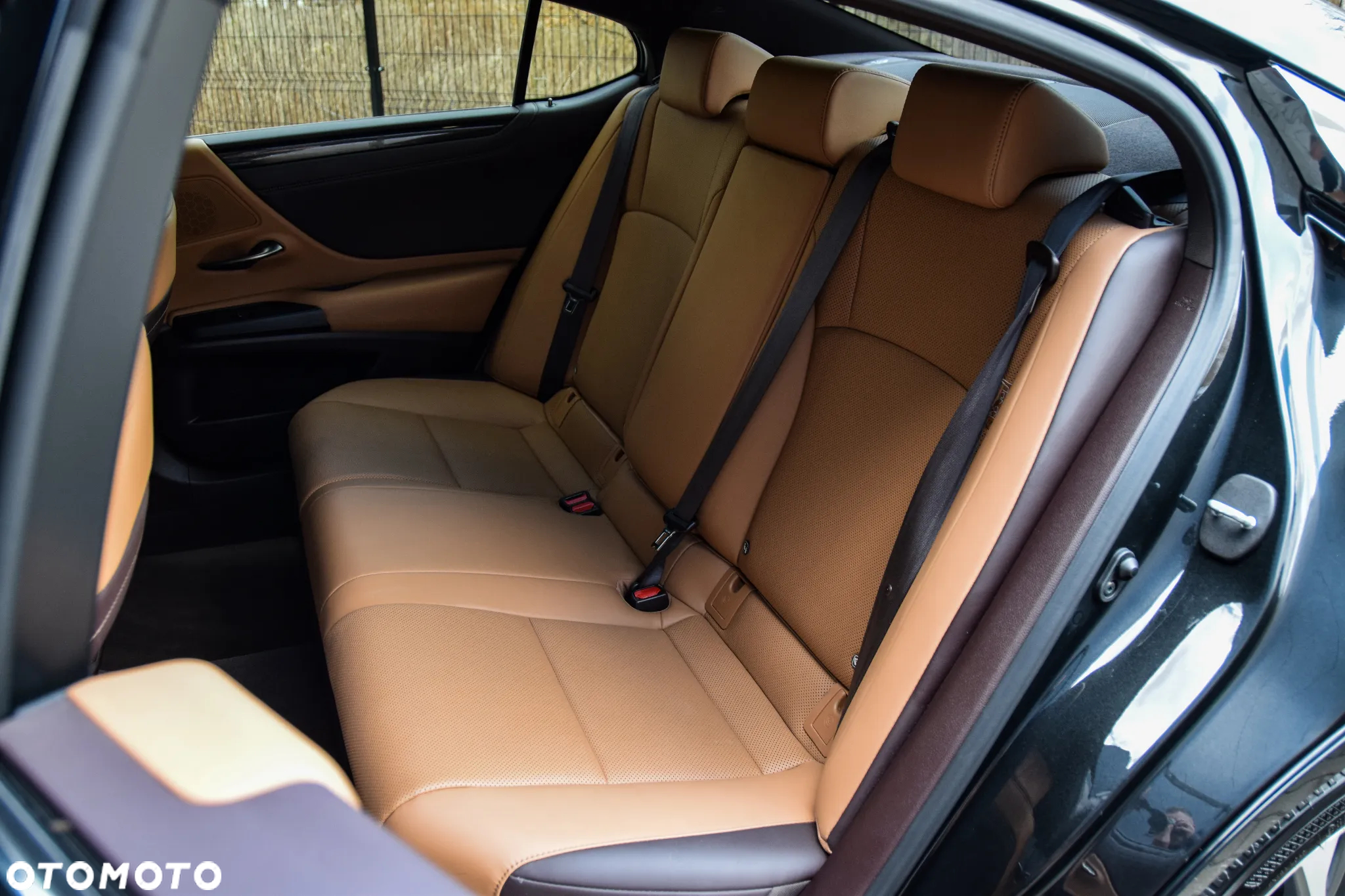 Lexus ES 300h Business Edition + - 10
