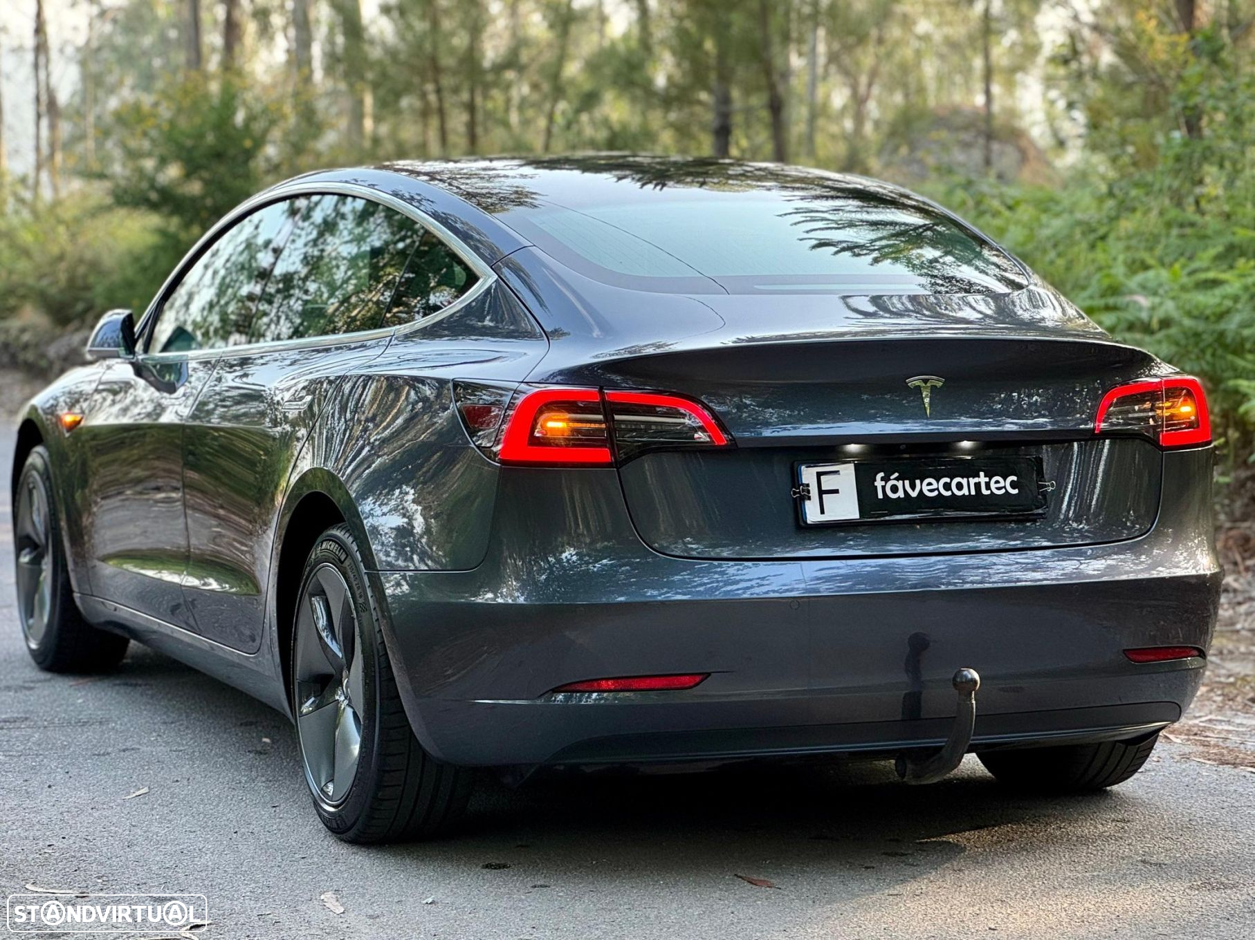 Tesla Model 3 Standard Range Plus RWD - 30