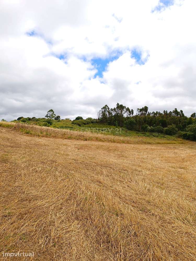 Vende-se Terreno Rústico com Vista Deslumbrante em Zona Agroflorestal - Grande imagem: 2/14