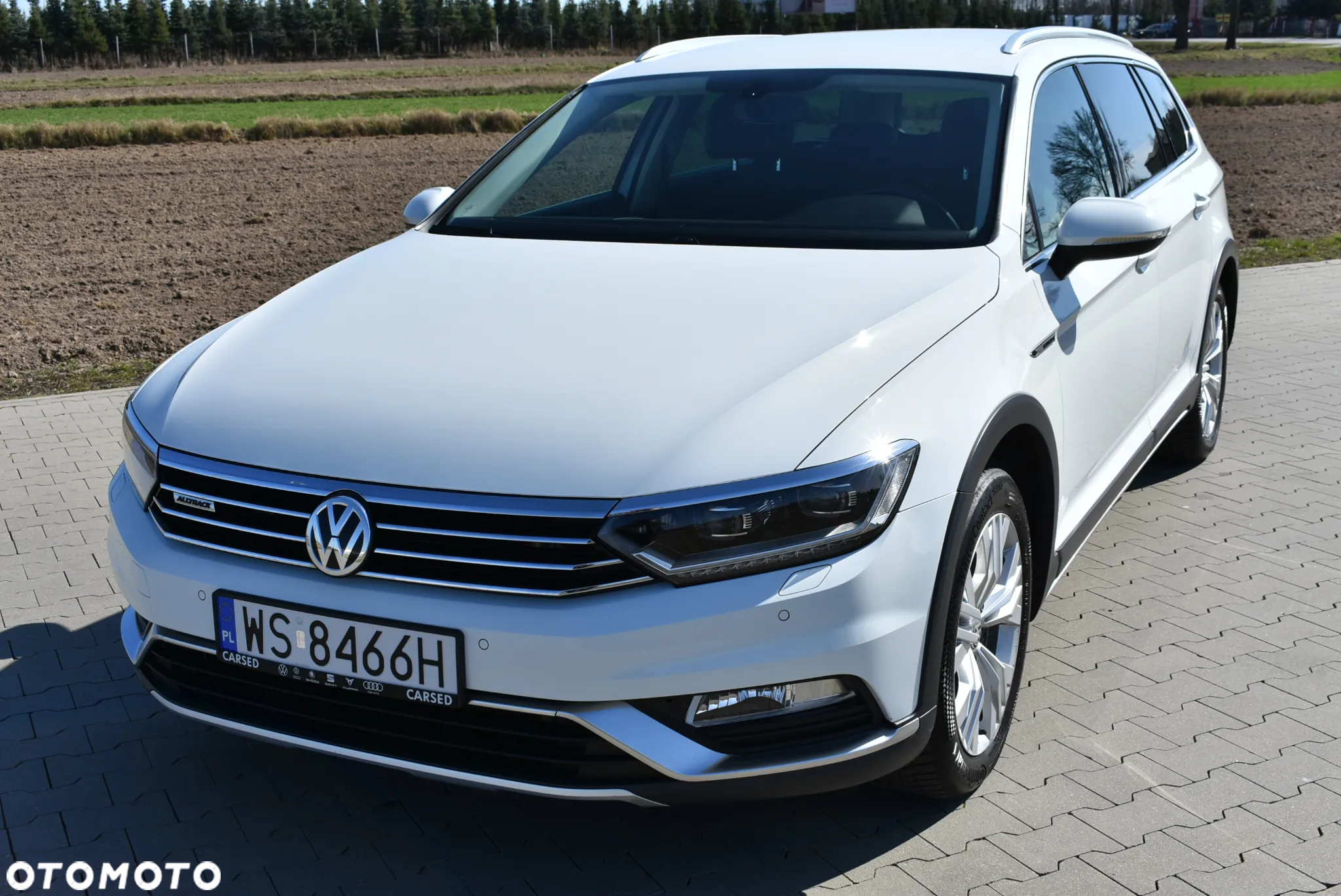 Volkswagen Passat Alltrack 2.0 TDI SCR 4Motion DSG - 13