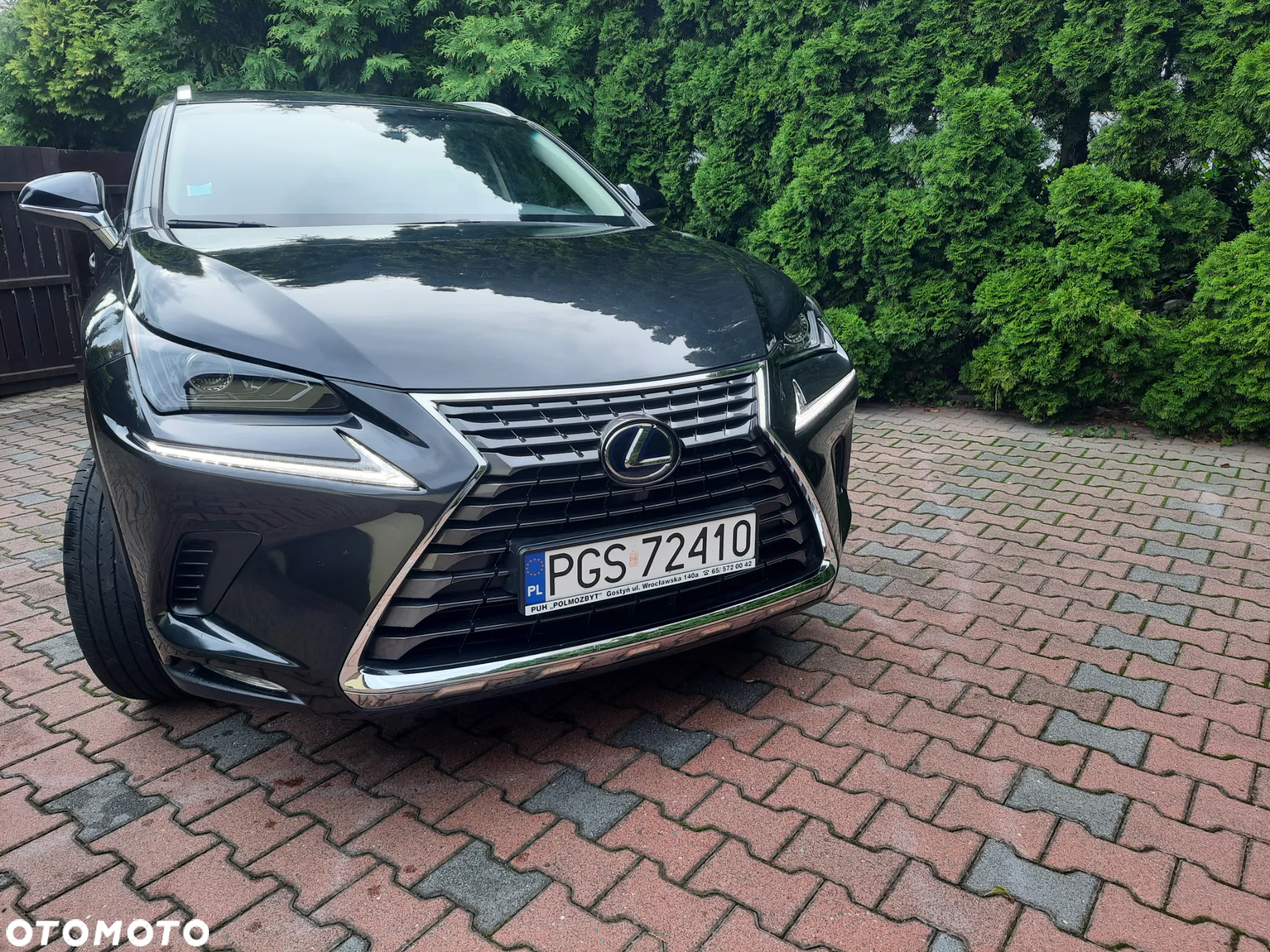 Lexus NX - 2