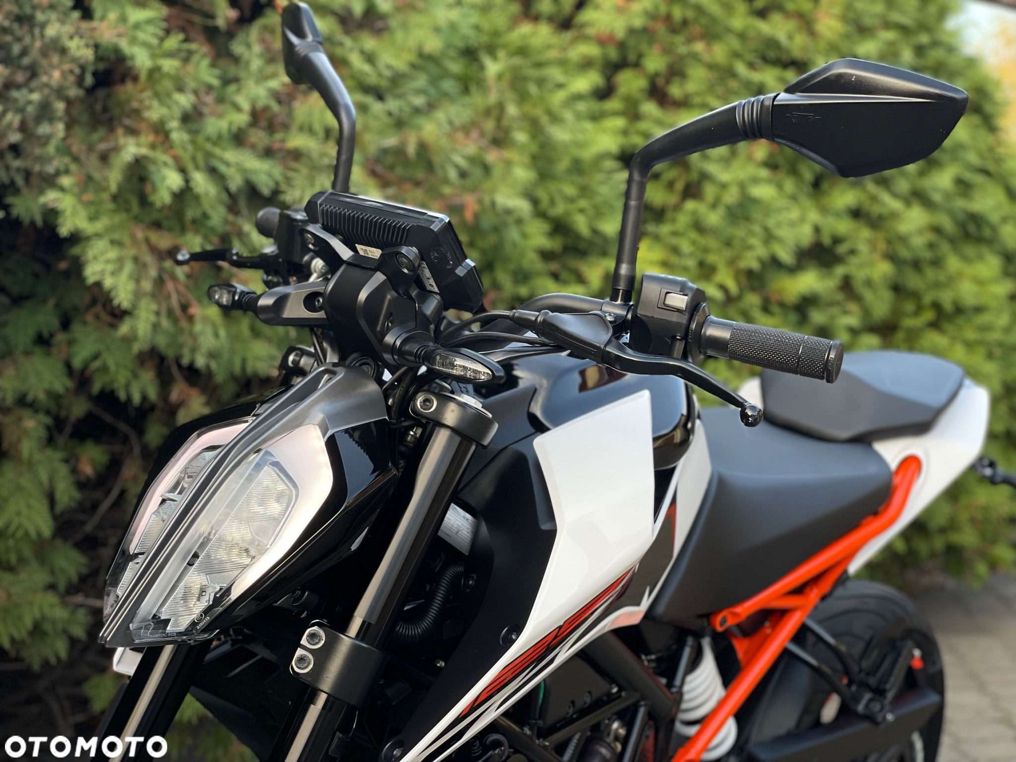 KTM Duke - 23