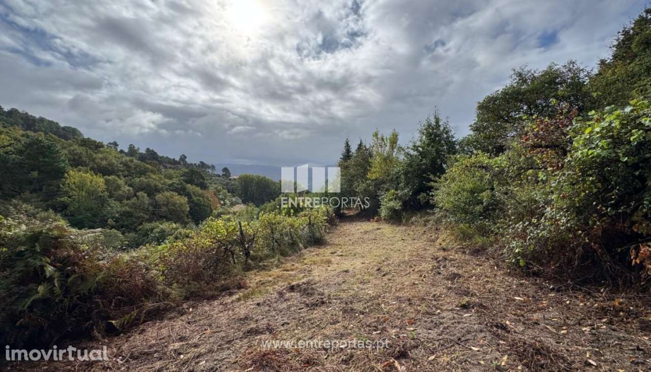 Venda de Terreno, em Stª Cruz do Douro, Baião - Grande imagem: 5/29