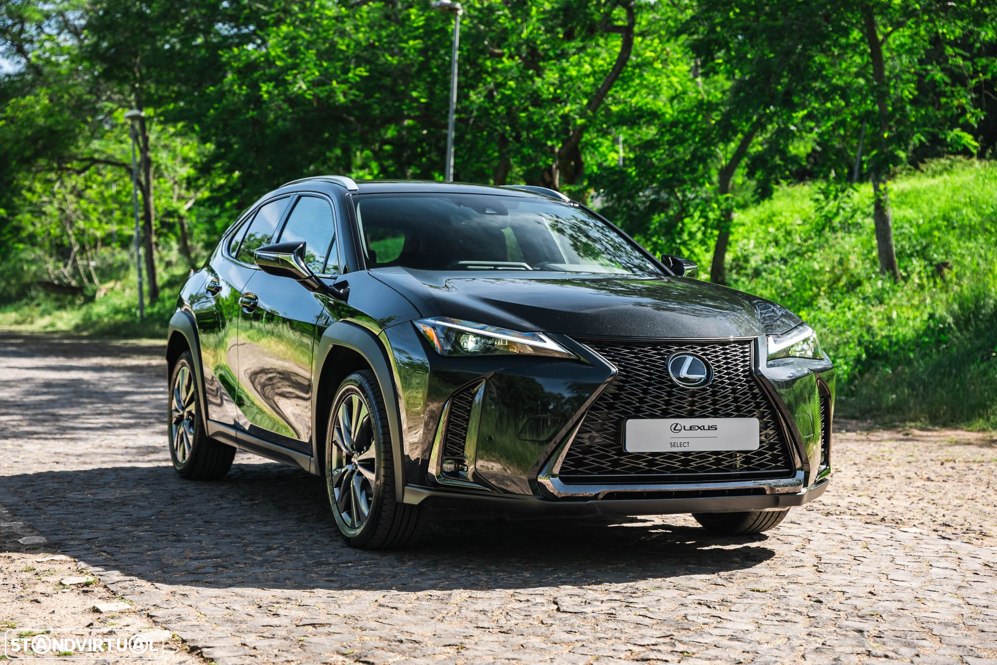 Lexus ux-250h - 19