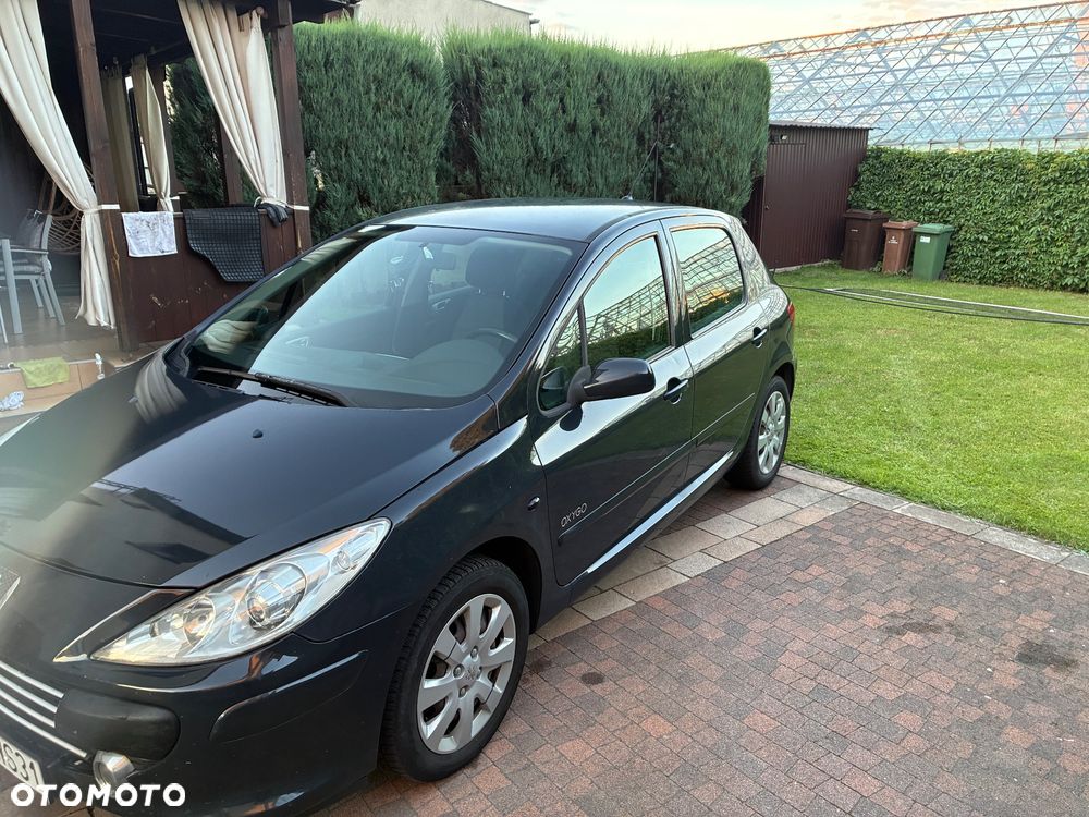 Peugeot 307 1.6 HDI Oxygo - 6