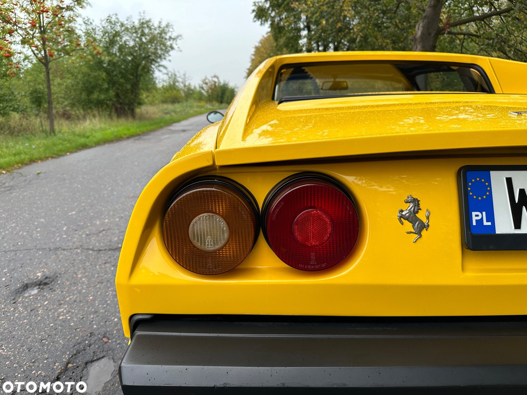 Ferrari 308 - 23