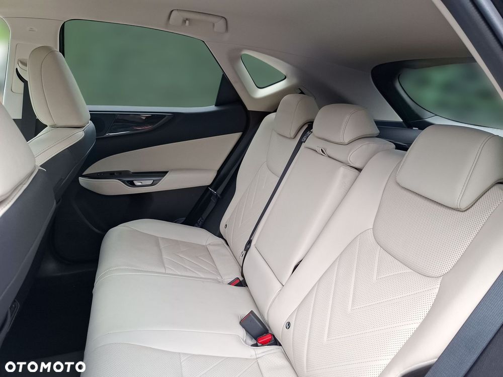 Lexus NX - 12