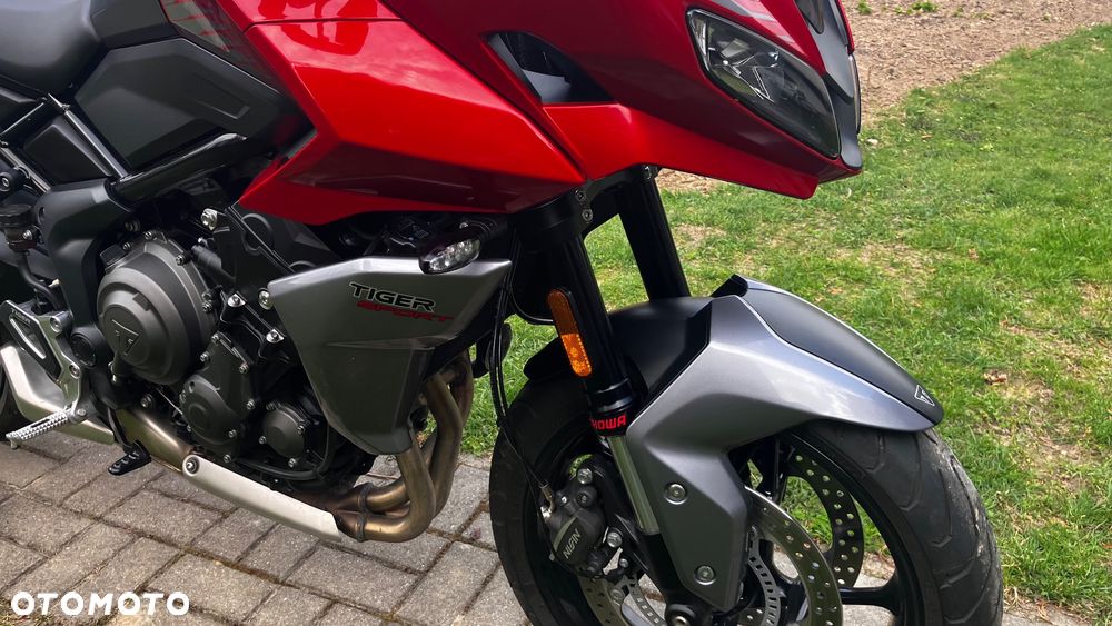 Triumph Tiger - 11