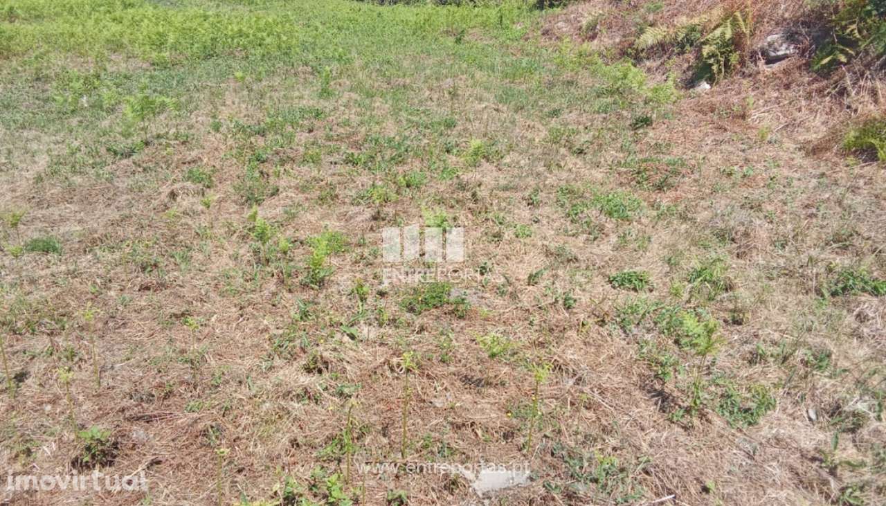 Venda de Terreno de construção, Afife, Viana do Castelo - Grande imagem: 5/24