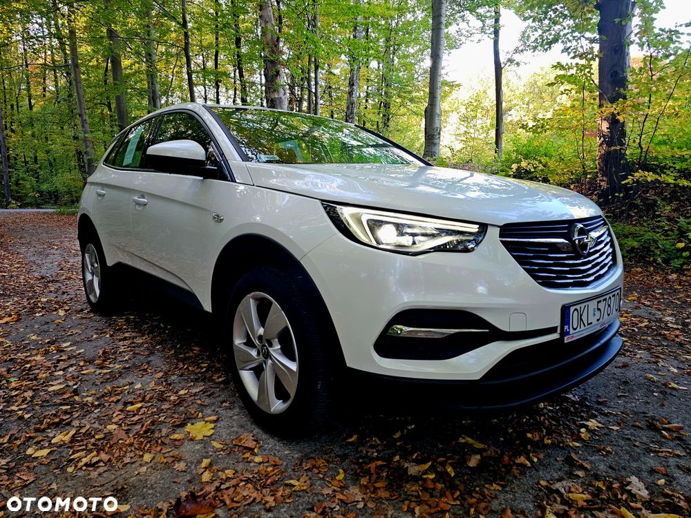 Opel Grandland X 2020 photo 4