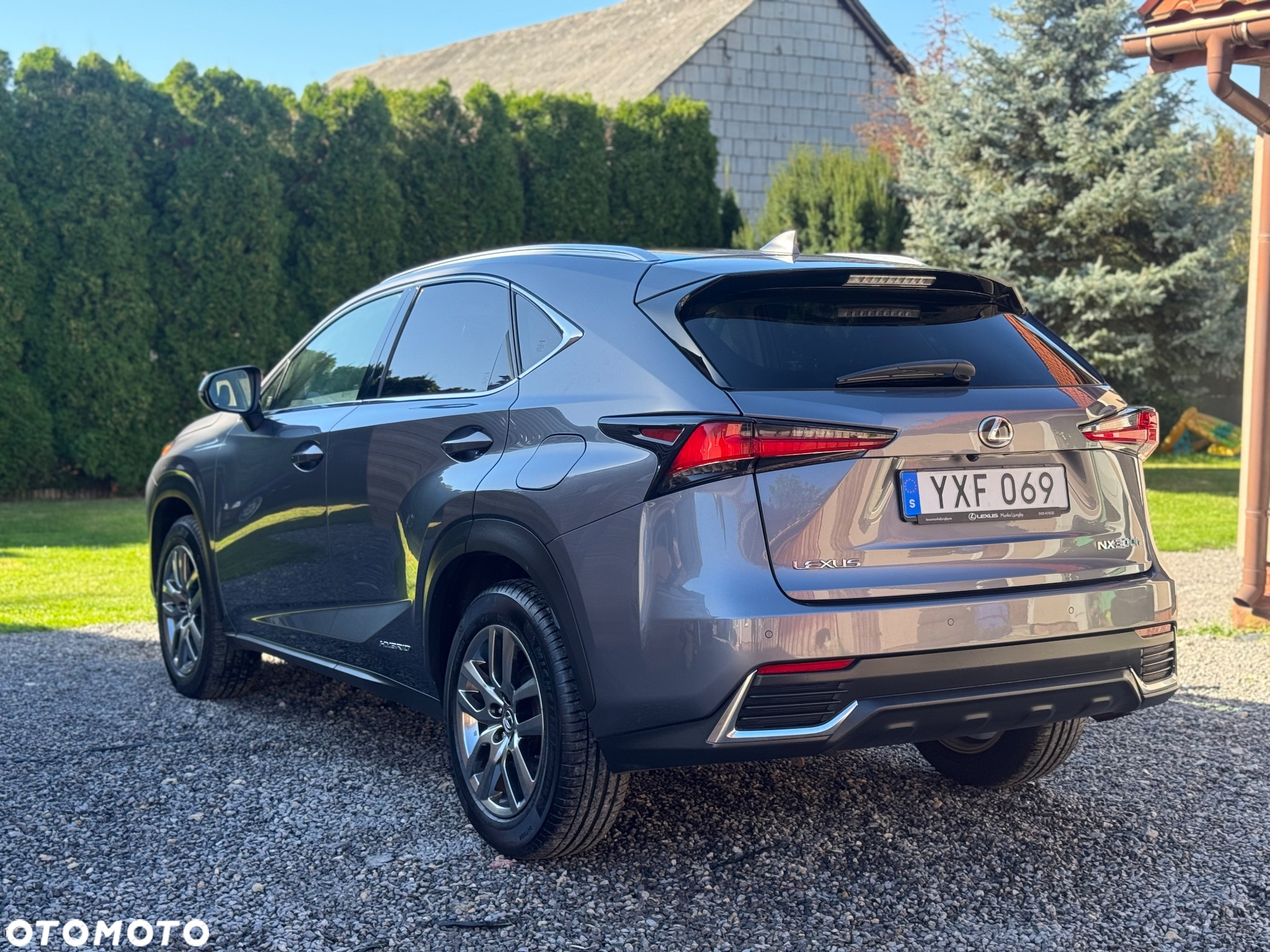 Lexus NX 350h F Sport AWD - 12