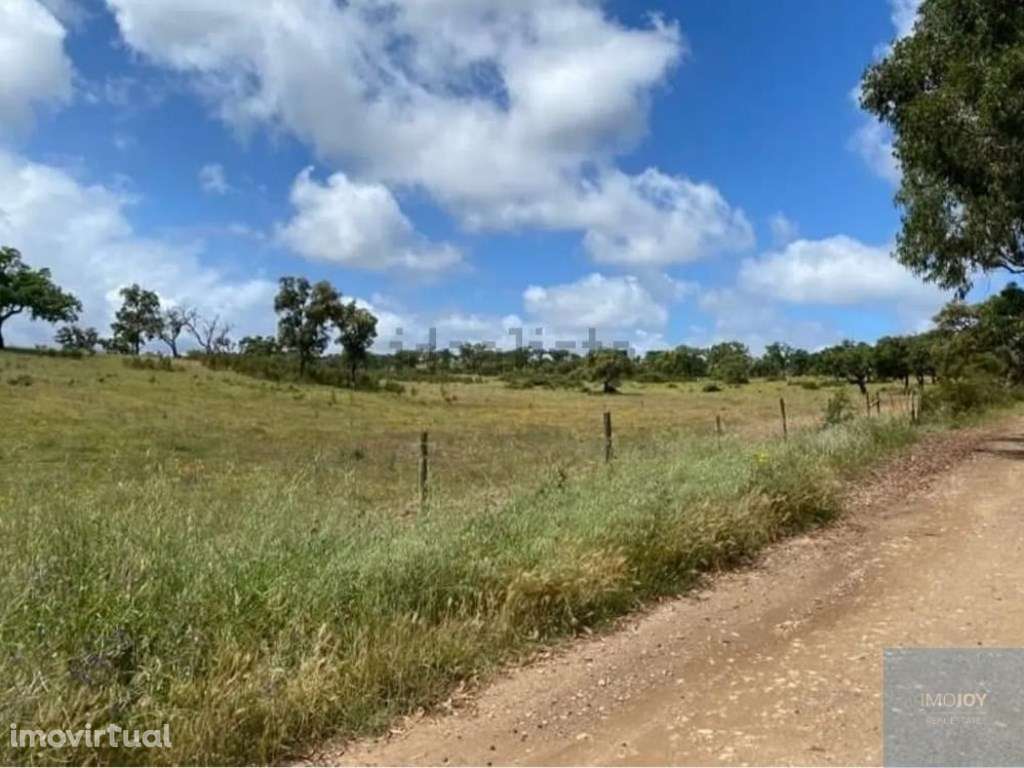 Terreno Rustico no Cercal - Grande imagem: 2/16