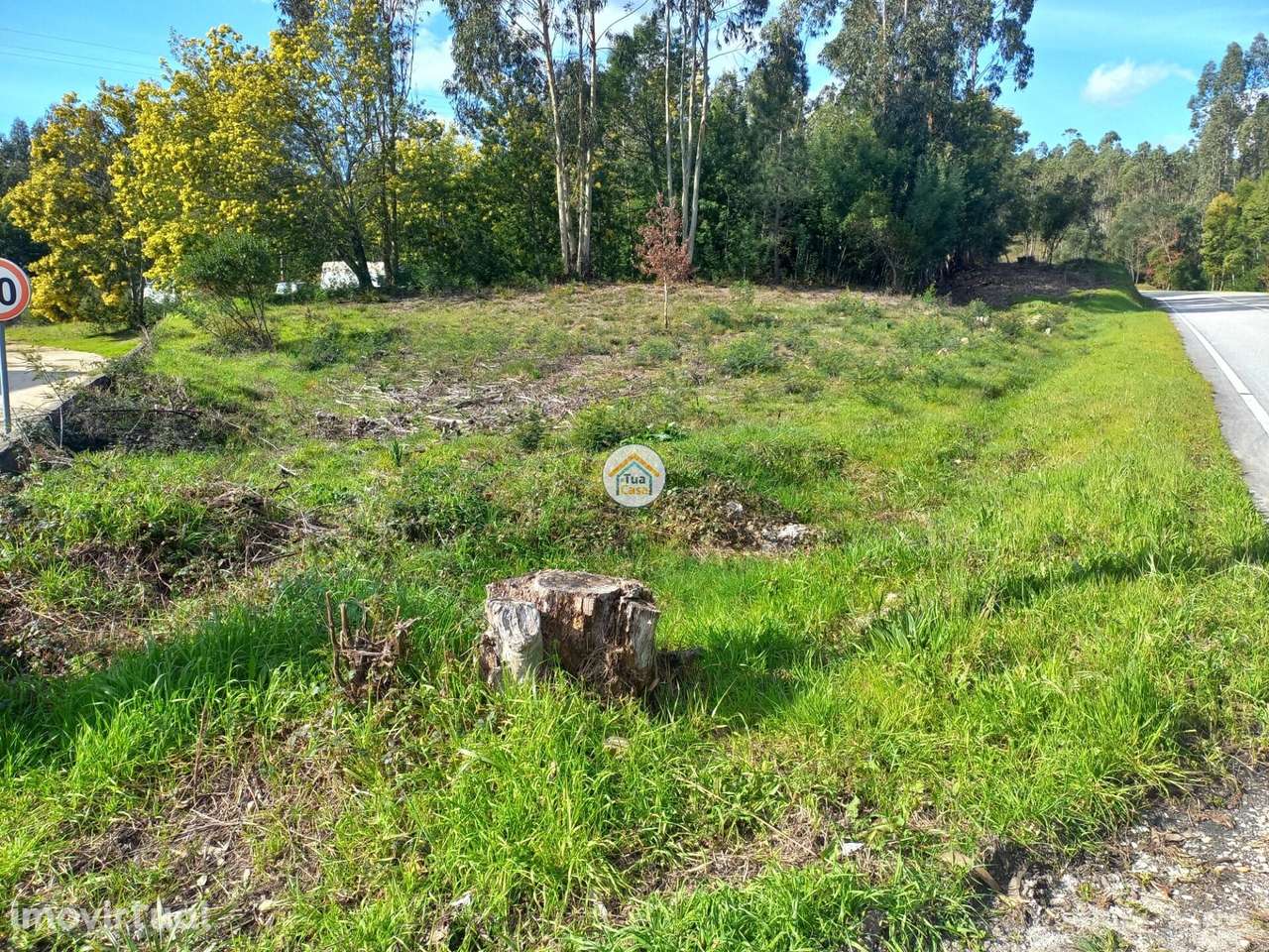 Terreno Rústico - Grande imagem: 3/7