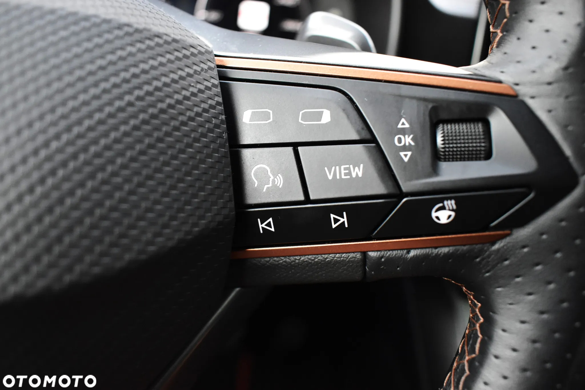 Cupra Formentor 1.5 TSI DSG - 24