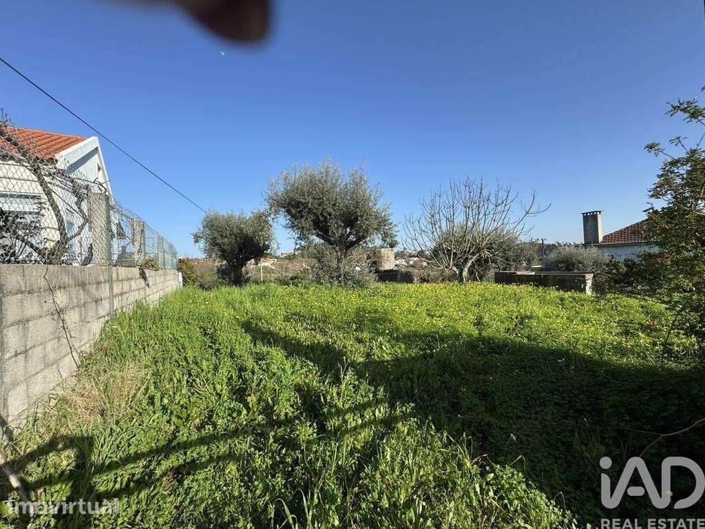 Terreno para construção em Serra e Junceira - Grande imagem: 4/6