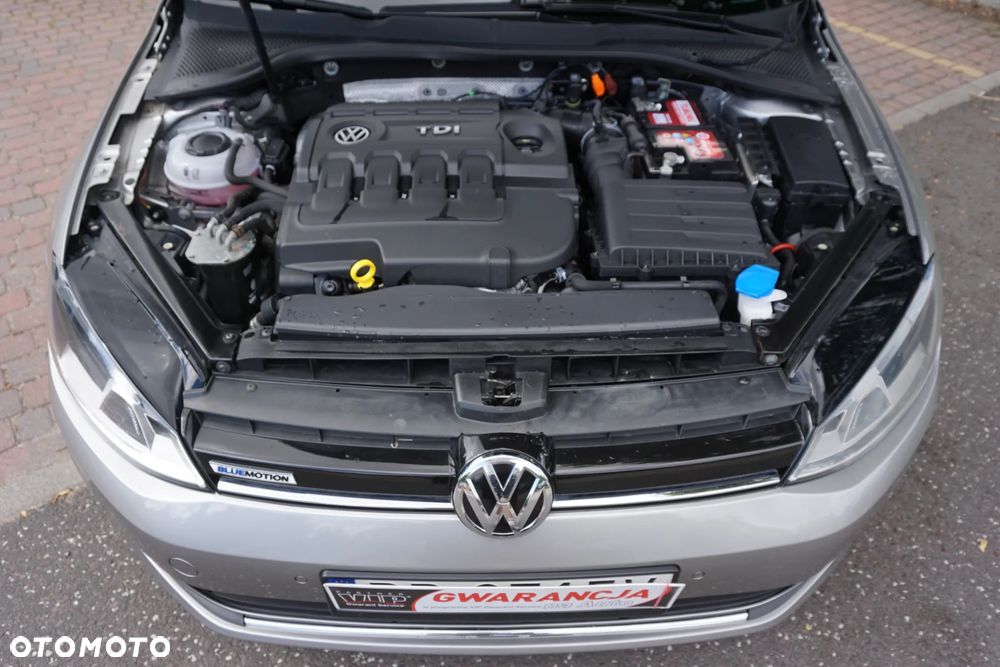 Volkswagen Golf 2.0 TDI BlueMotion Technology Cup - 26