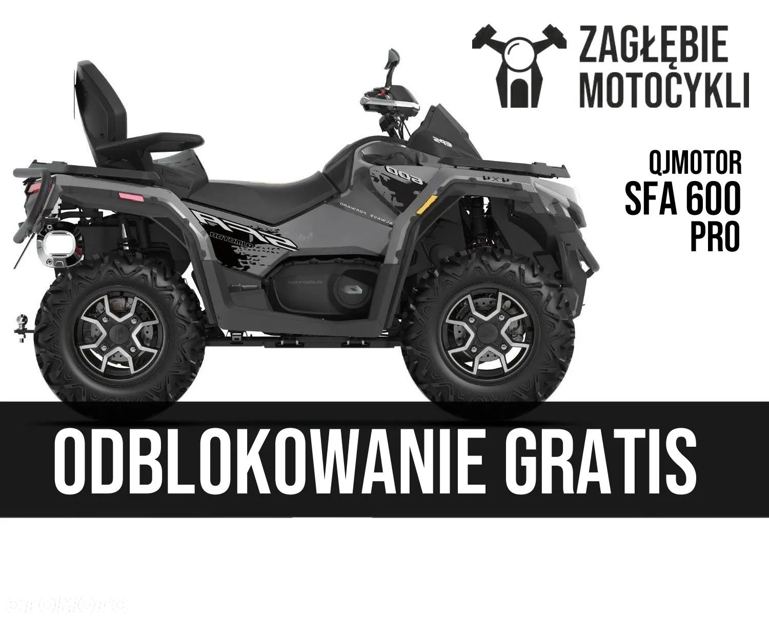 QJMOTOR SFA 600