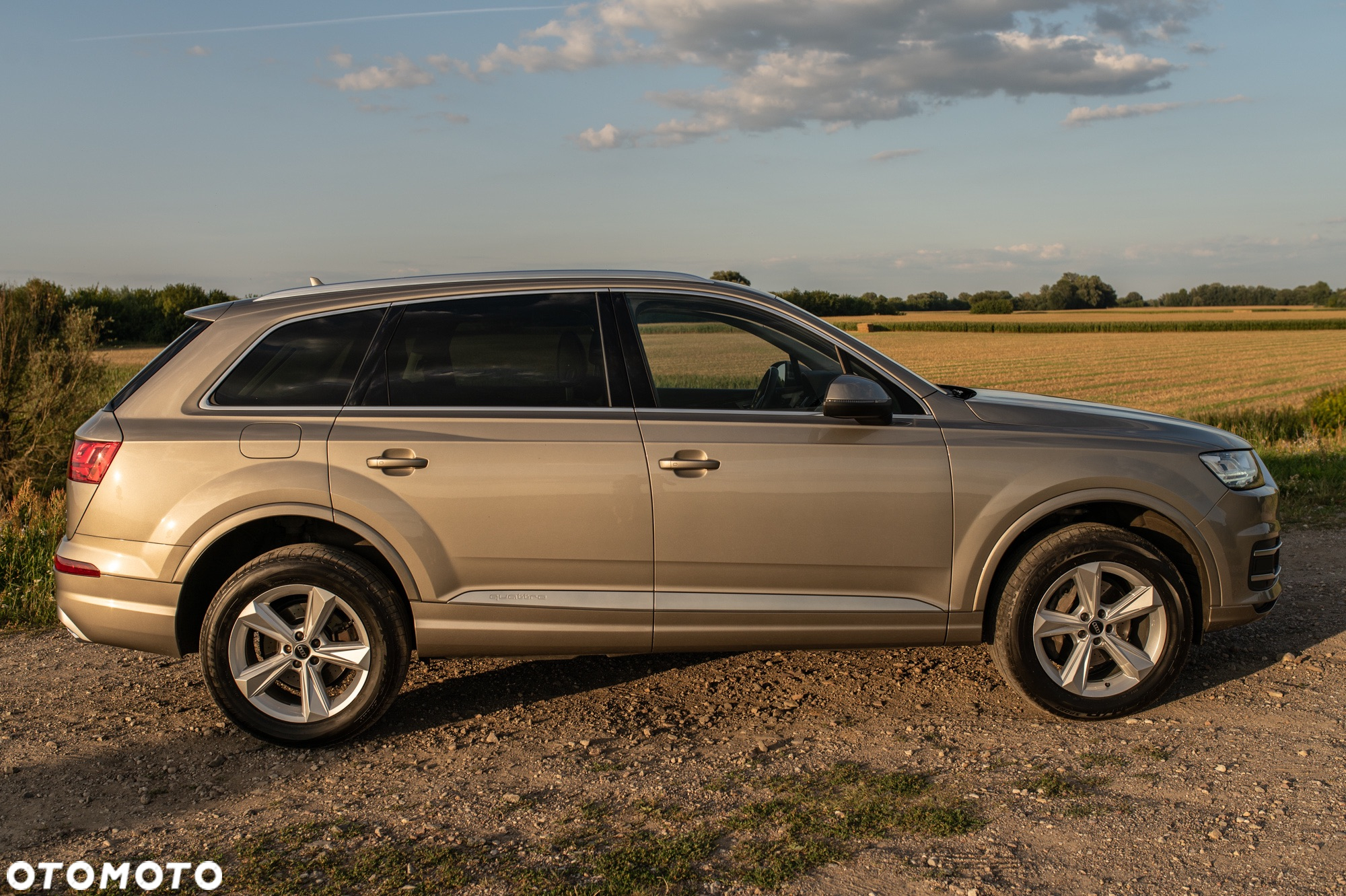Audi Q7 3.0 TDI Quattro Tiptronic - 19