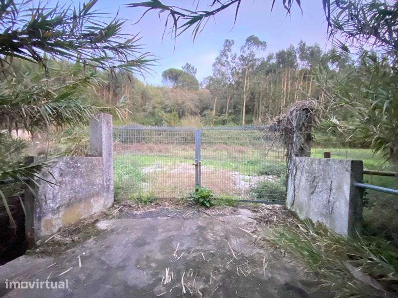 Terreno com 6499m2 e poço - Frente estrada Nacional - Grande imagem: 4/4