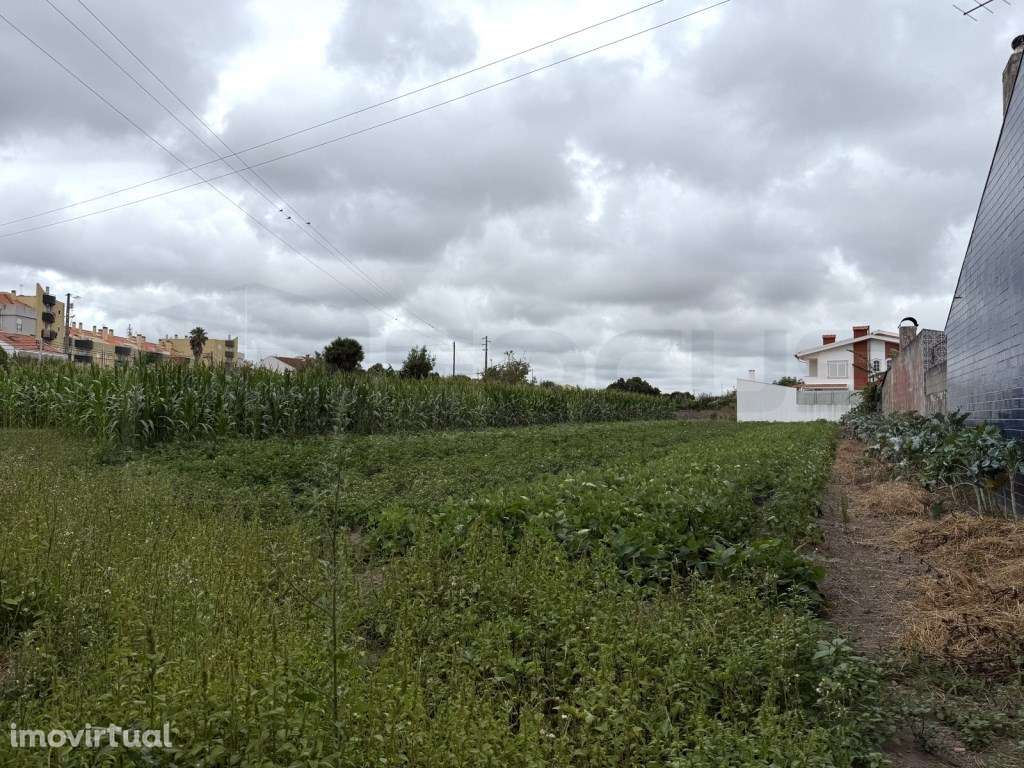 Terreno com 20m de frente para construção - São Bernardo - Grande imagem: 2/21