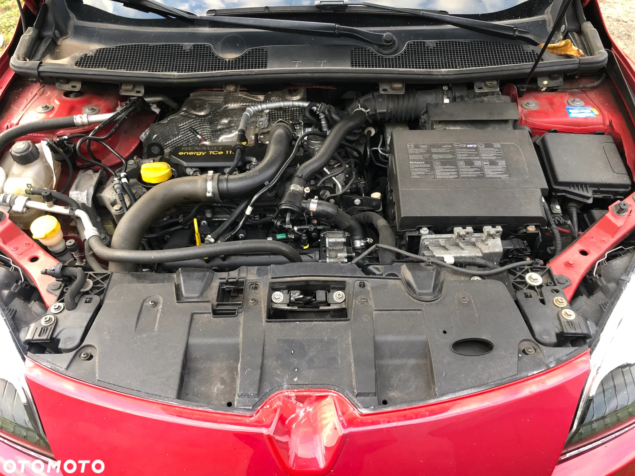 Renault Megane - 19