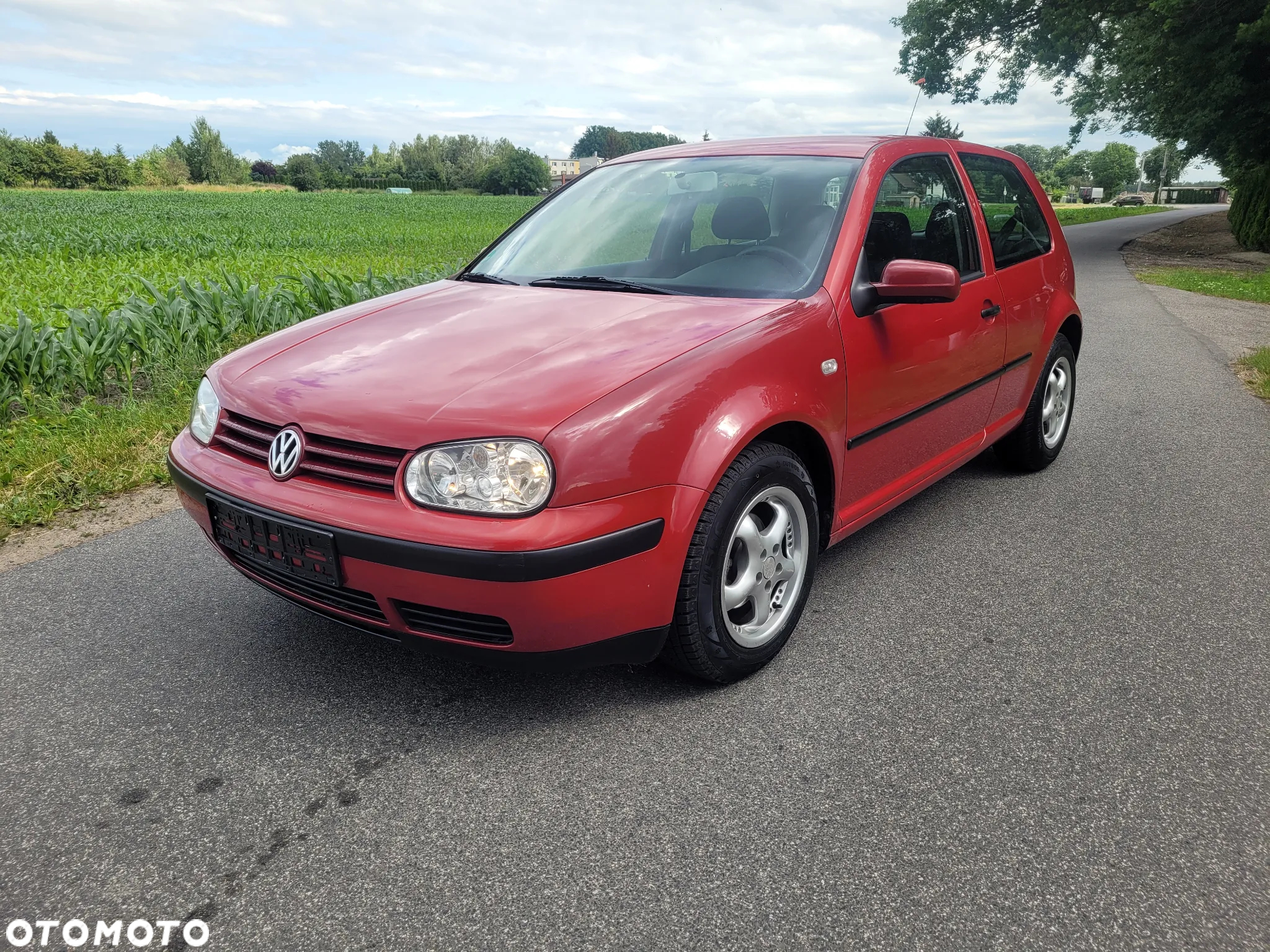 Volkswagen Golf IV 1.4 Trendline - 26