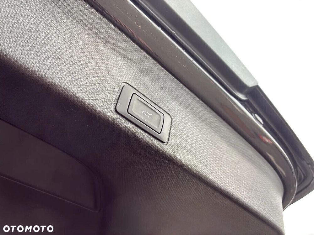 Cupra Terramar - 18