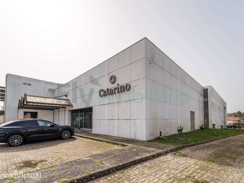 Pavilhão Industrial com Elevado Potencial de Investimento - Grande imagem: 2/51
