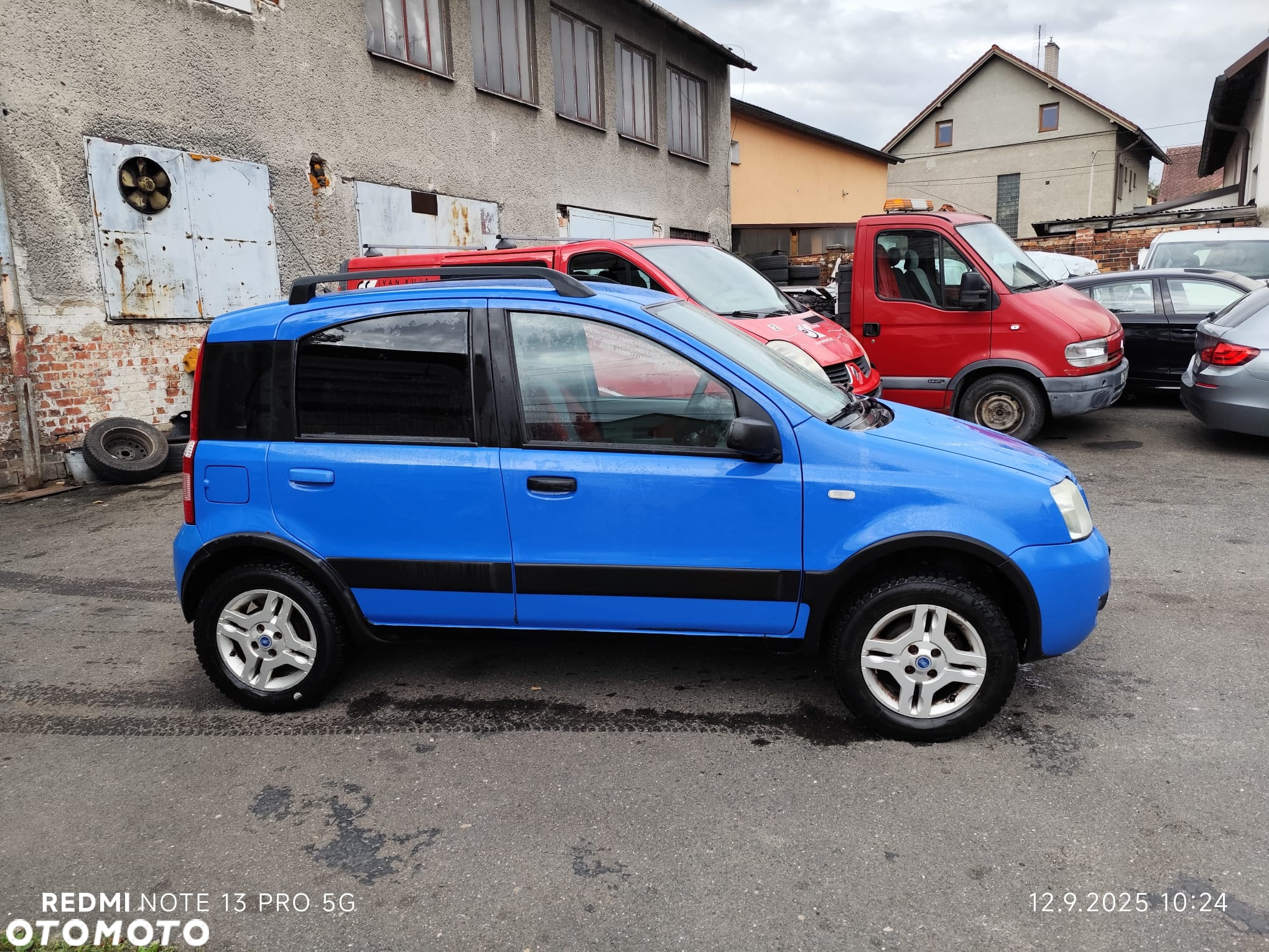 Fiat Panda 1.2 4x4 - 6
