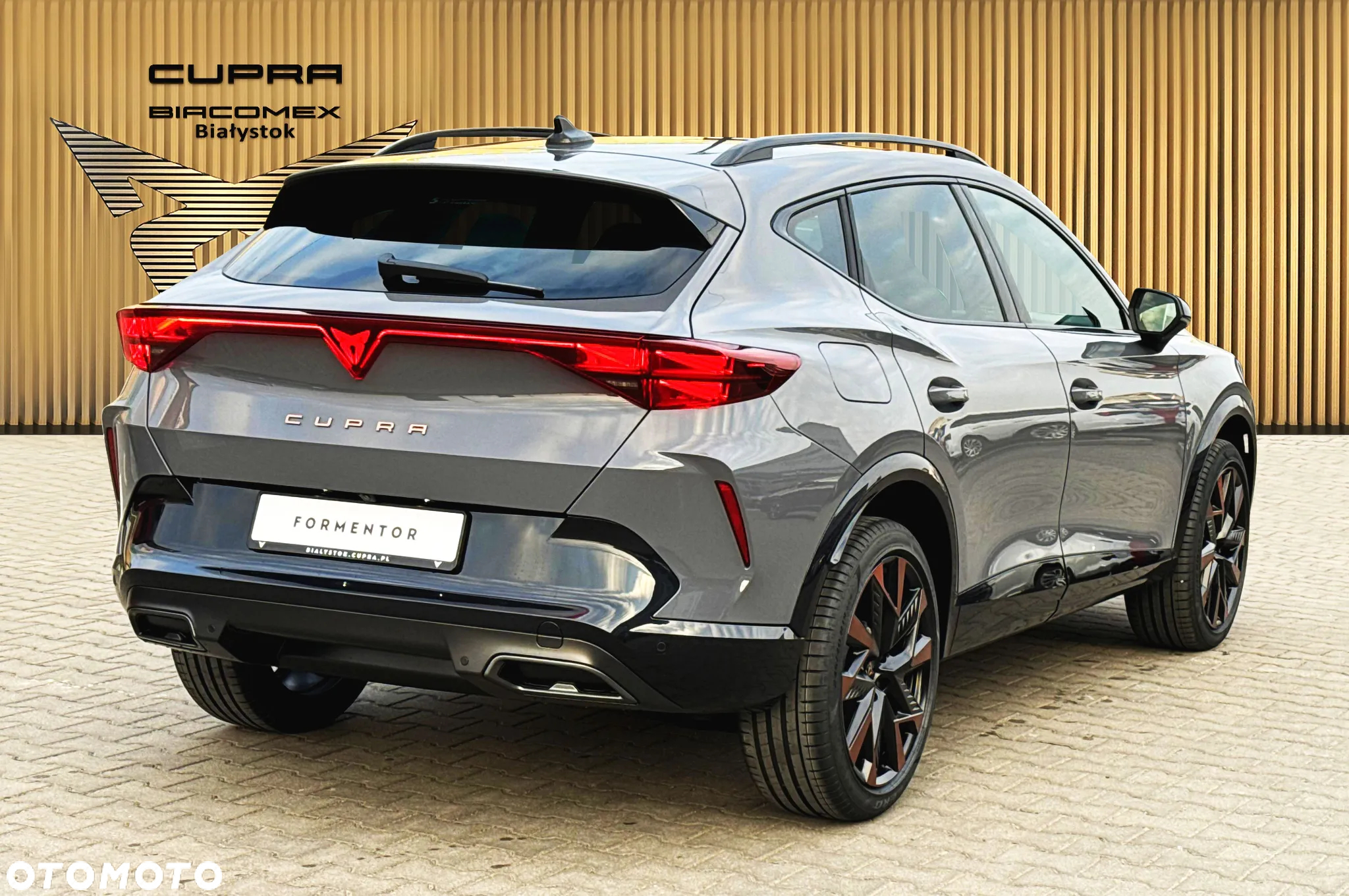 Cupra Formentor 1.5 TSI DSG - 6